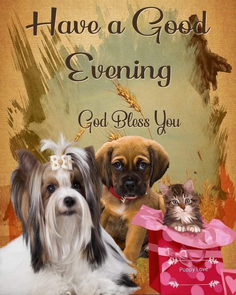 deborah_saffer's tweet photo. #GoodNight All. I’ve had a #Long Day. #Poked &amp; #Prodded 😞 Not sure when I’ll get the #Results. I guess I’m #Happy waiting. Going to try this #Sleep thing 💤 I Hope Everyone had a Truly #Blessed Day &amp; Much #Unconditional Love Always 💚#Medically #Fragile #Amputee #AutismMom #Chef https://t.co/ssZAPU7XyA