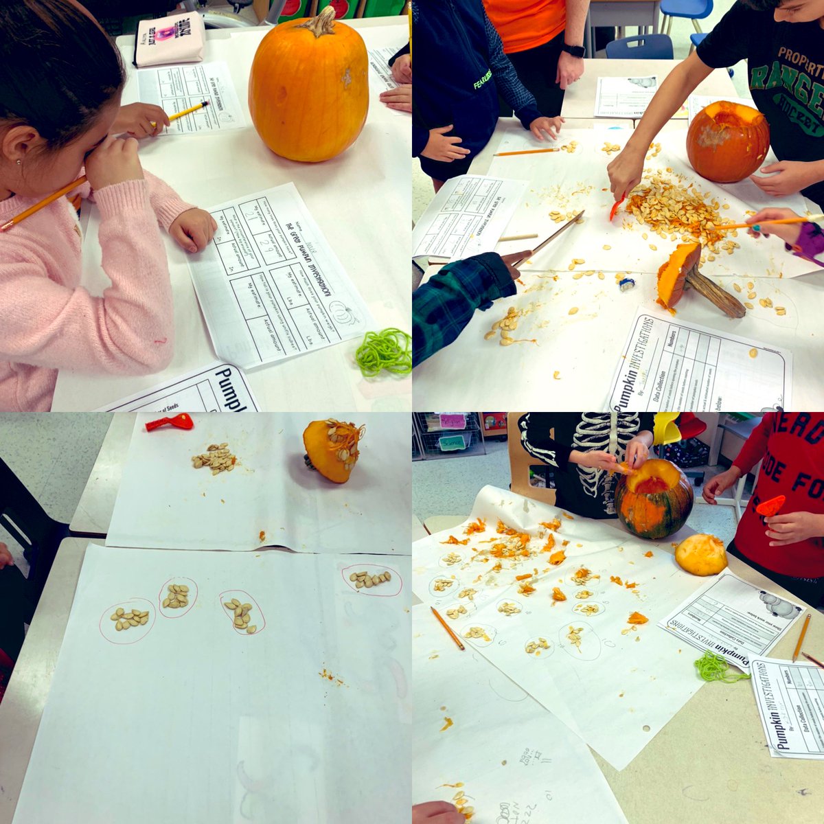 Mrs.Doak Grade 2 Class! tweet media