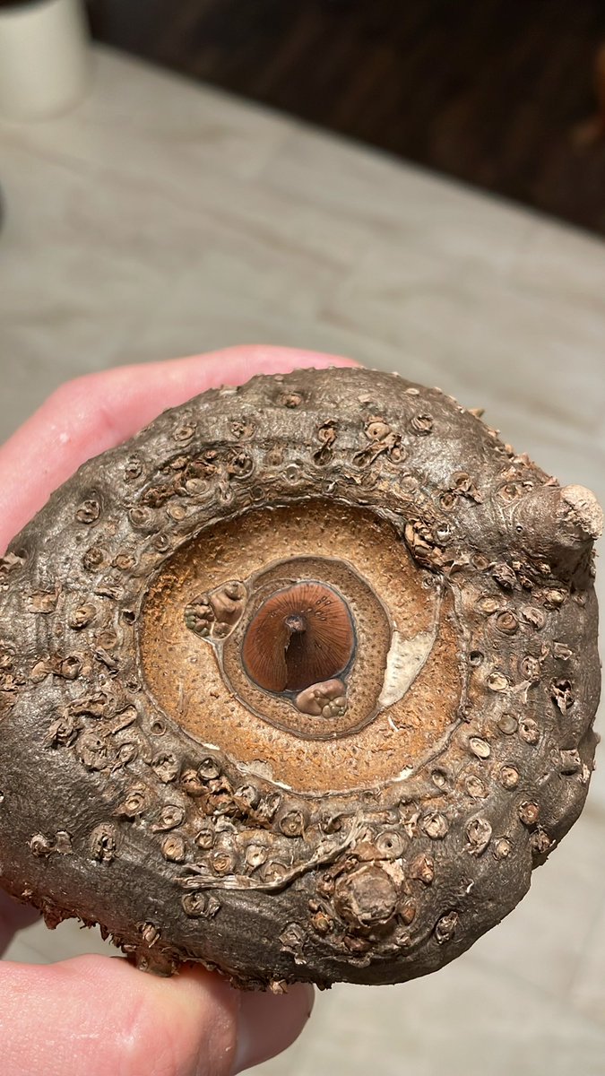 Alex Rajewski tweet media