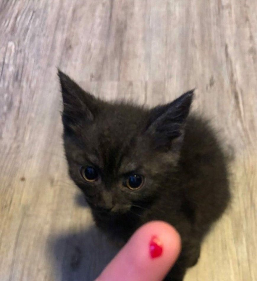 patchworkcurse's tweet photo. One day, if I can somehow get my hands on you.. 'm gonna strangle you, man.

Just HHHH https://t.co/eXLn6Oe4Mu