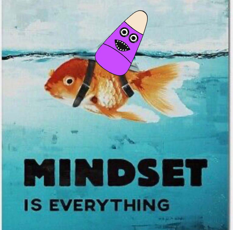 candycorn.wtf | Sold Out tweet media