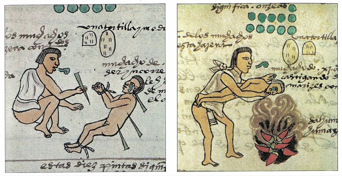 #Sabíasque los padres tenochas aplicaban duros castigos a los hijos que eran perezosos, rebeldes y desobedientes? Les enterraban espinas de maguey en el cuerpo, como también les ponían a oler chiles quemándose en el fuego. Este último debe de haber sido un suplicio! #mesotuits