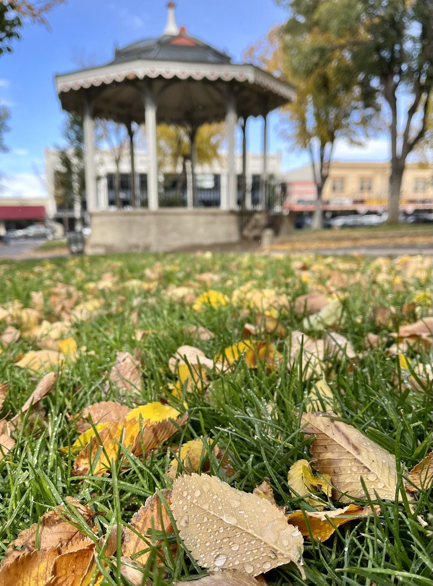 NearAndFarAZ's tweet photo. Sunshine after the snow - typical Arizona autumn 🍂💛💚🌞❄️
#PrescottAZ #YavapaiCountyCourthousePlaza #DowntownPrescott #Fallcolors2022 https://t.co/7asR9jKPUb