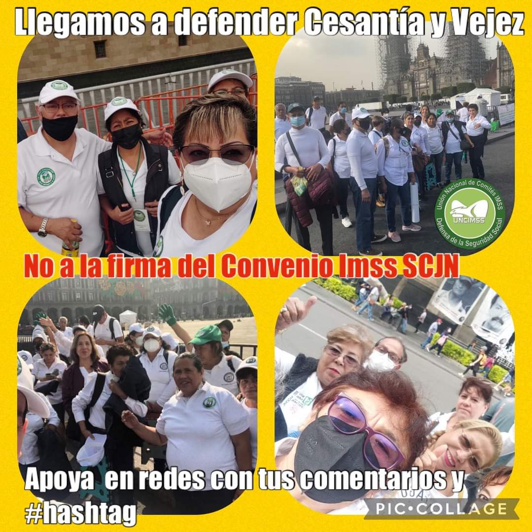 SaltilloUncimss's tweet photo. Hoy es la firma del convenio entre Imss y la Scjn, por la justicia y la seguridad social, #nomassimulacion https://t.co/FchxHZO3eS