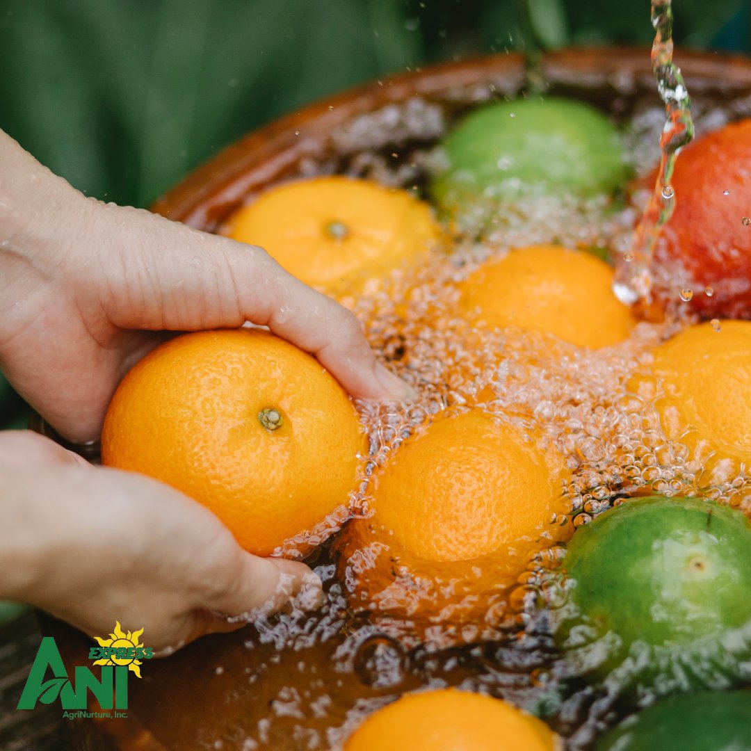 ani_express's tweet photo. We offer a wide variety of fresh vegetables and fruits delivered to your door, so you can enjoy them whenever you want. 

Order via: 
💬https://t.co/fDPpBs2eON
📲ANI Express site: https://t.co/fYpucSYPnR https://t.co/DiFMzOIPL8