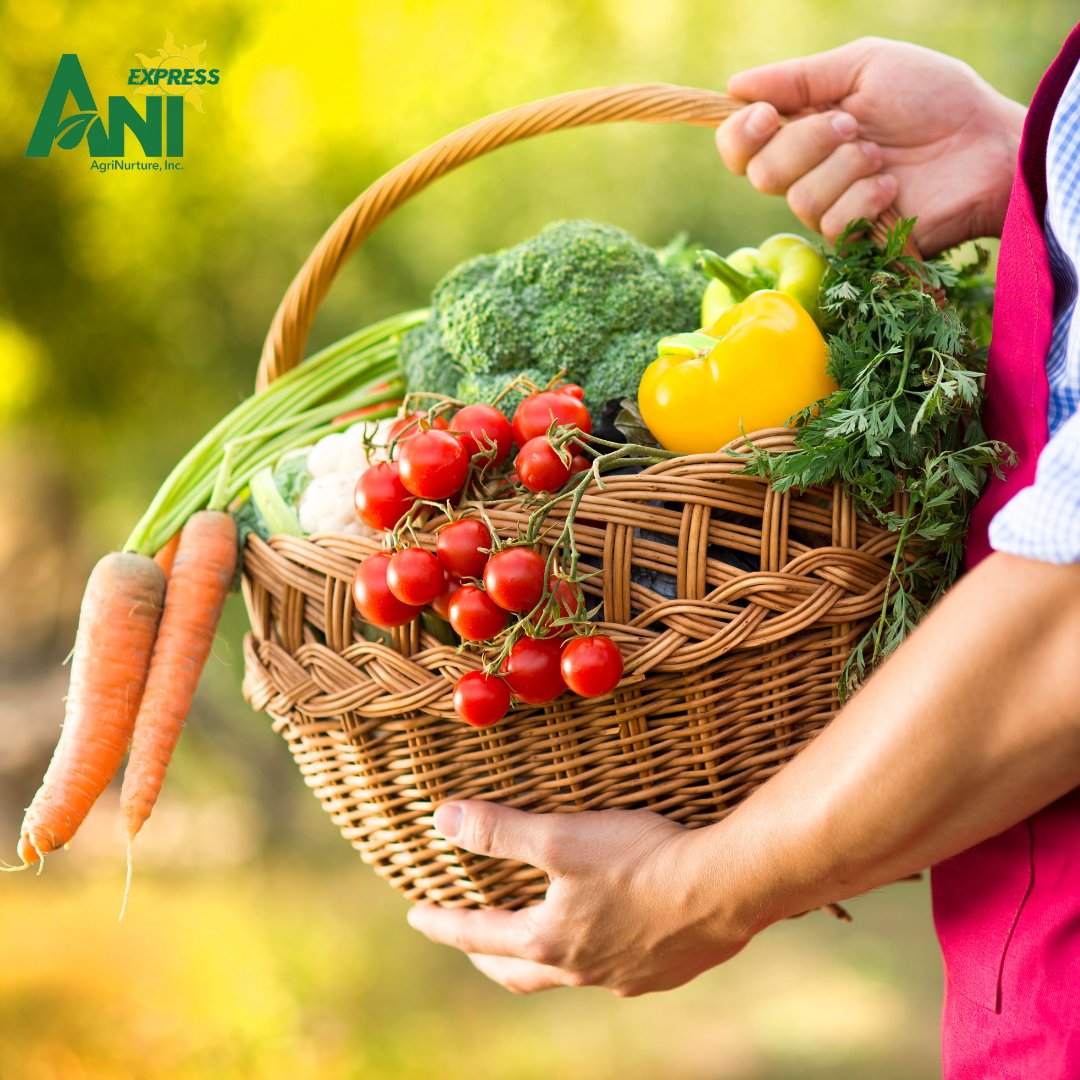 ani_express's tweet photo. We deliver all over the city, and we're here to help you get your hands on the freshest produce around.

Order via: 
💬https://t.co/fDPpBs2eON
📲ANI Express site: https://t.co/fYpucSYPnR https://t.co/dzMIBDVMK8