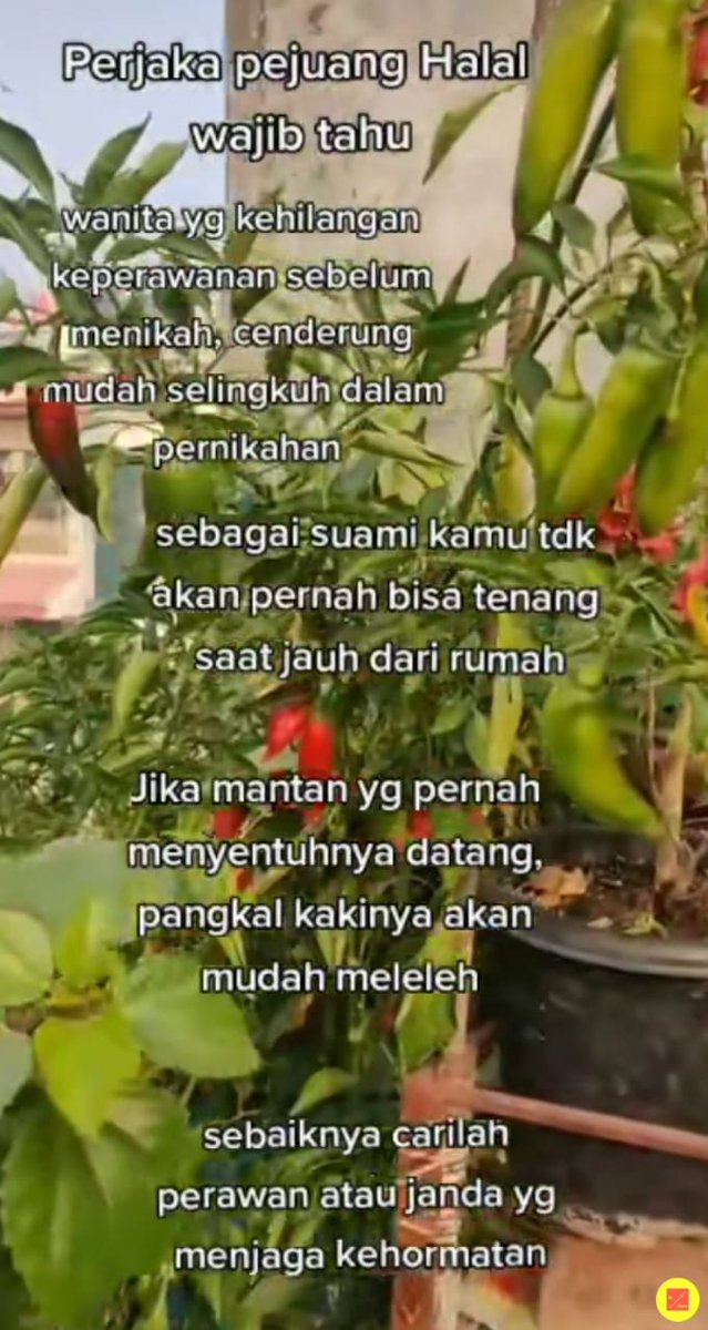 <a href="/abcdefuceek/">Bram</a> Kalau dapat pacar bekas orang, pastikan mantannya gak punya kunci hati dan selangkangannya 😃