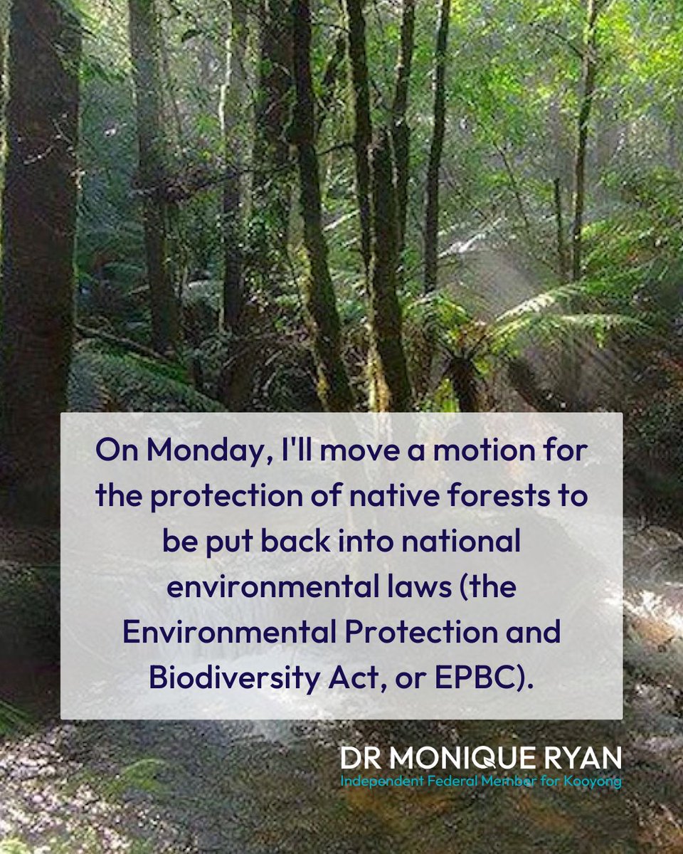 On Monday, I'll move a motion for the protection of native forests to be put back into national environmental laws (the Environmental Protection and Biodiversity Act, or EPBC).