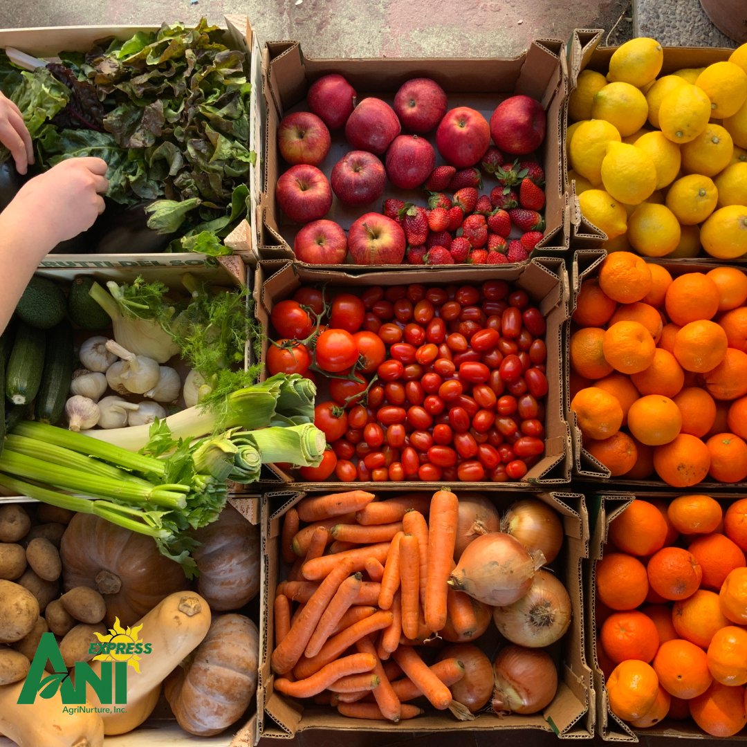 ani_express's tweet photo. Order from our website for convenient delivery, or place an order by phone or over text message.

Order via: 
💬https://t.co/fDPpBsjQdn
📲ANI Express site: https://t.co/fYpucSHewj https://t.co/YlpAUVbdUa