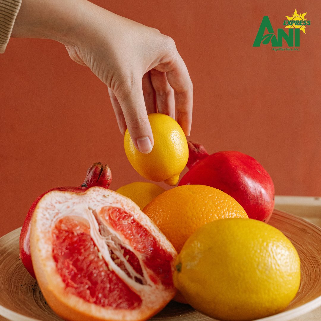 ani_express's tweet photo. We want you to be able to order the fresh produce and fruit you need.That's why we've made it easier than ever for you to get your fruits and vegetables delivered from us! 

Order via: 
💬https://t.co/fDPpBsjQdn
📲ANI Express site: https://t.co/fYpucSHewj https://t.co/KAzDQKxEuq