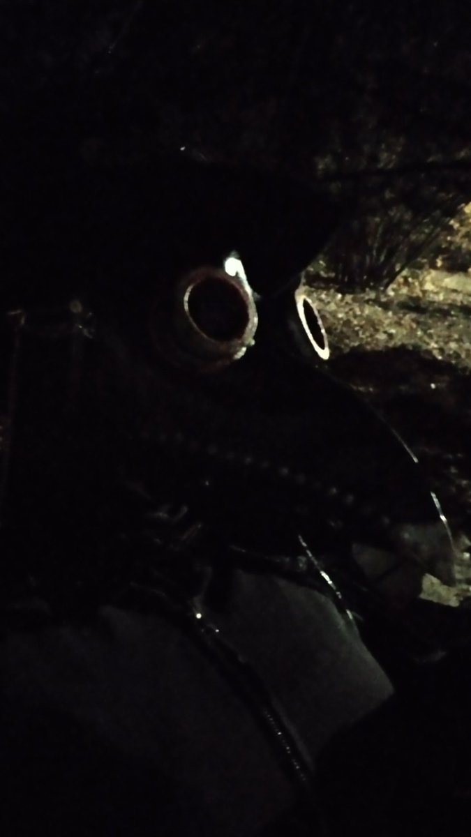 mindlessthenie's tweet photo. A bit late but here's what I did on #Halloween #PlagueDoctor #imadeathing https://t.co/hpklzPIKvH