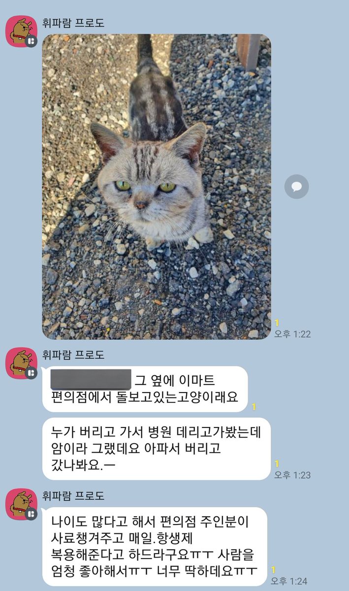 아픈애 버리고 발뻗고 잠은 자는지....아오...죽어라