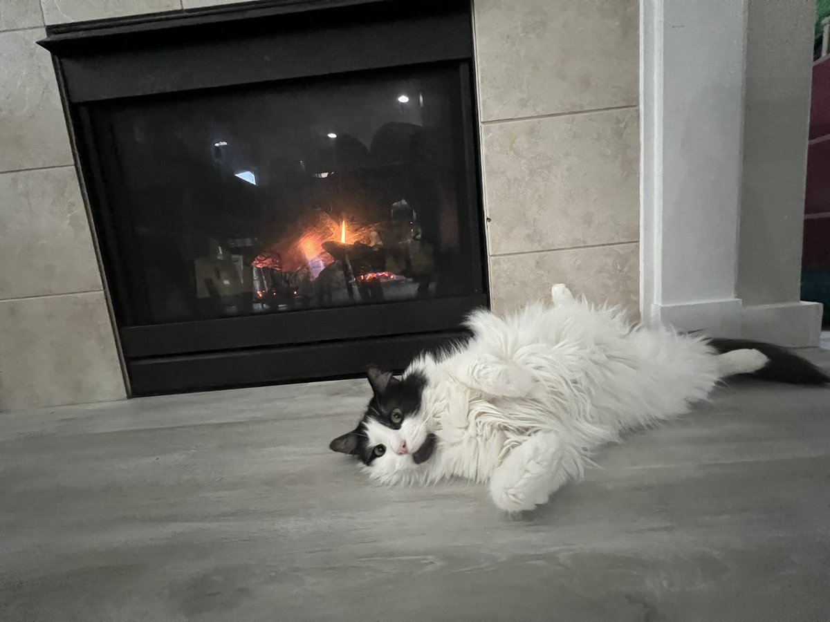 andrewphom's tweet photo. IT’S MOMO’S 2ND BIRTHDAY!!! Happy birthday little brother 🫶🏽🥳 https://t.co/Ppno8wyxqF