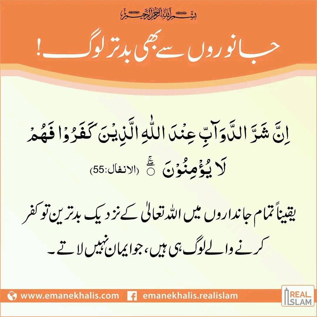 The Real Islam (@therealislamweb) on Twitter photo 