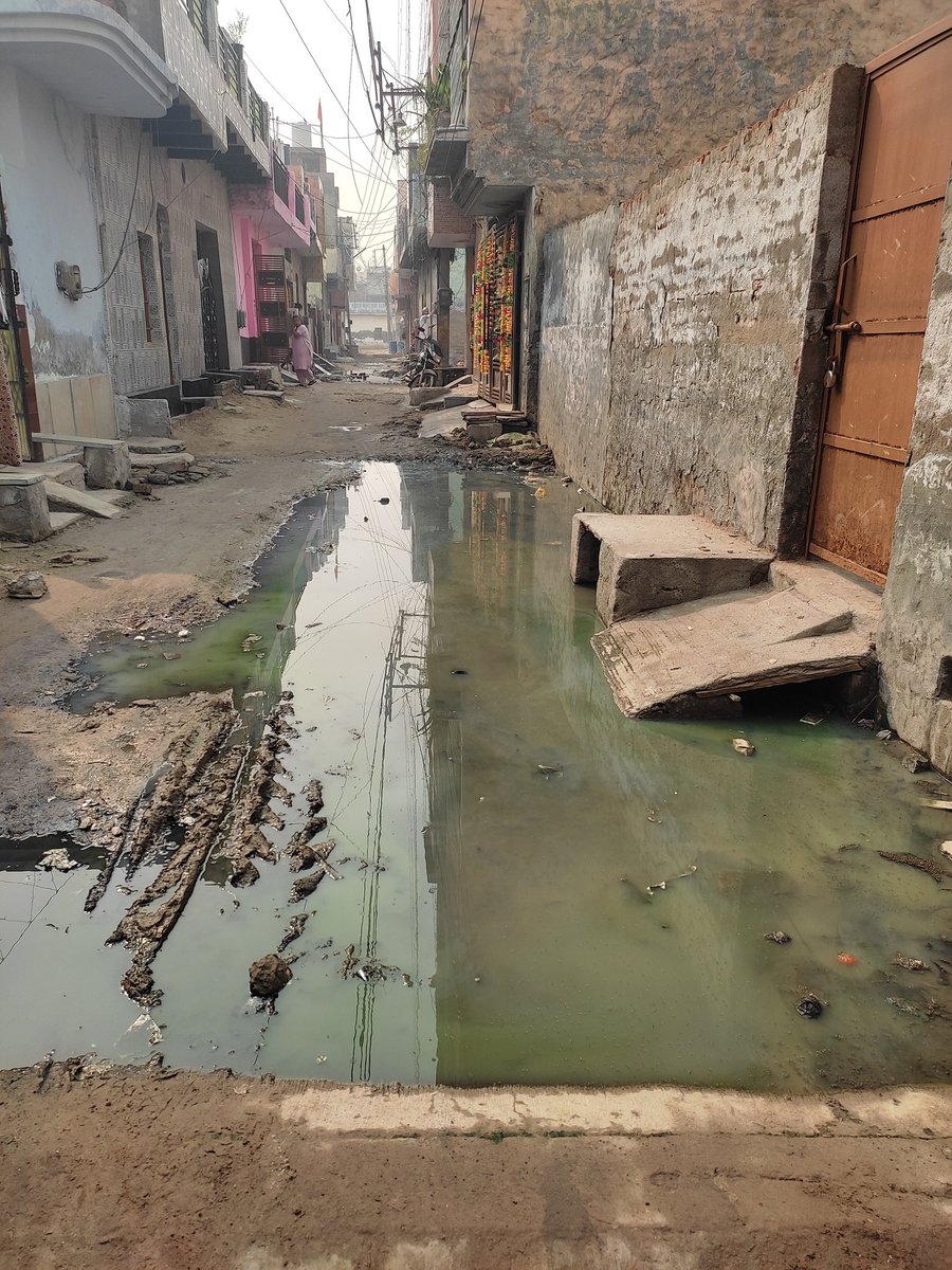 bharat95991281's tweet photo. Kya kabhi hoga humari galiyo ka vikas pura ward 5, aise he bhara huwa h. Gali no 74, parvatiya colony, nit faridabad, @cmohry @PMOIndia @NeerajSharmaINC @Dchautala @bjpnarendergupt @narendramodi @AmitShah . Agar koi mantri aata to 1 din m sab kam hota h par ye sab last 1 sal se h https://t.co/cU8EqjV3pK