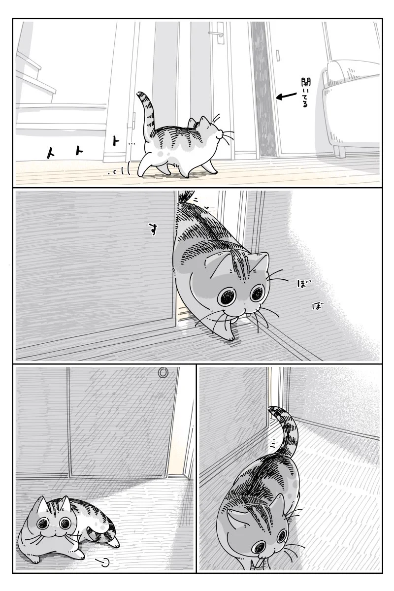 開けっ放しになっていたふすまを閉めようとしたら、光る何かに気付き･･･！可愛い猫漫画が話題に！