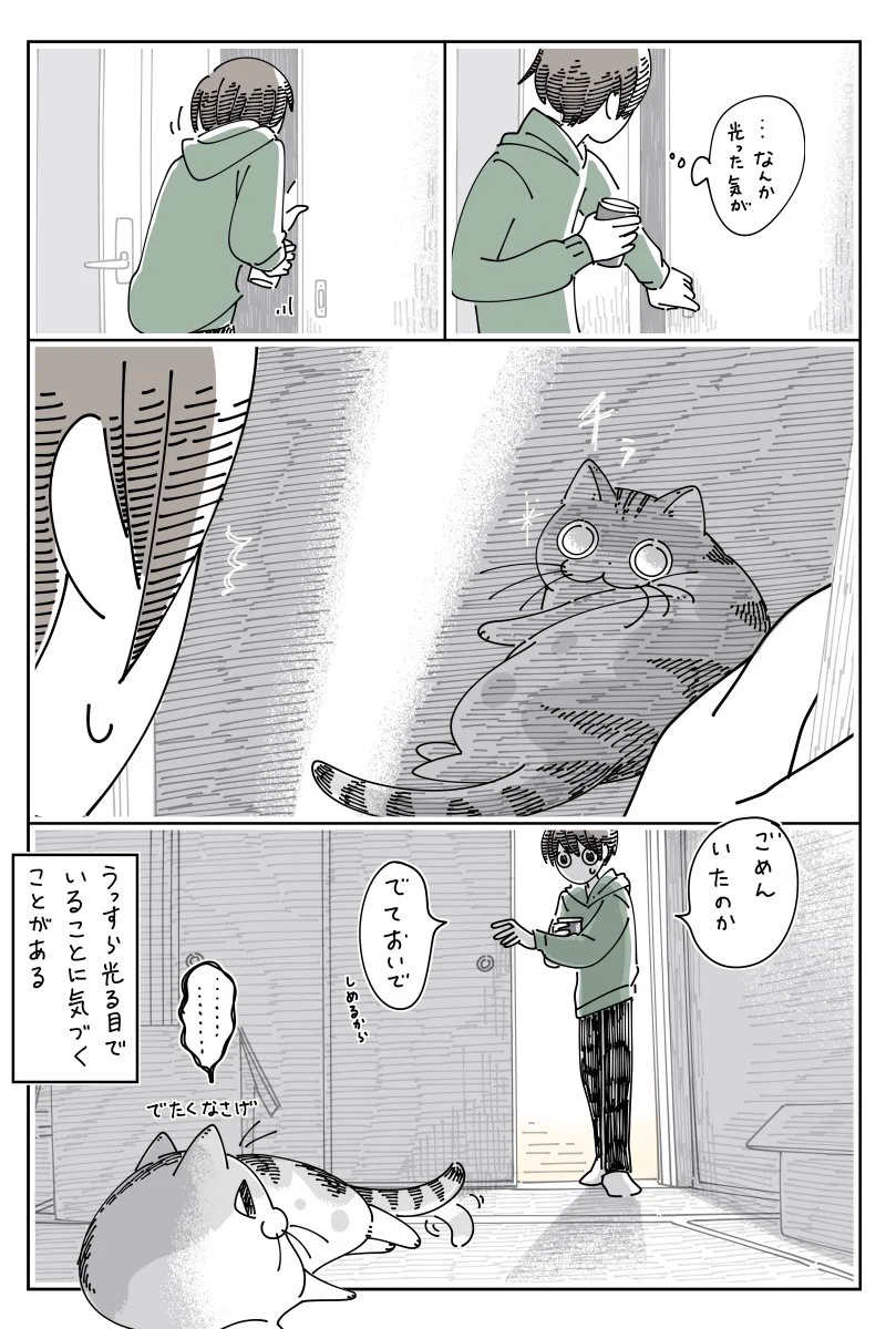 開けっ放しになっていたふすまを閉めようとしたら、光る何かに気付き･･･！可愛い猫漫画が話題に！