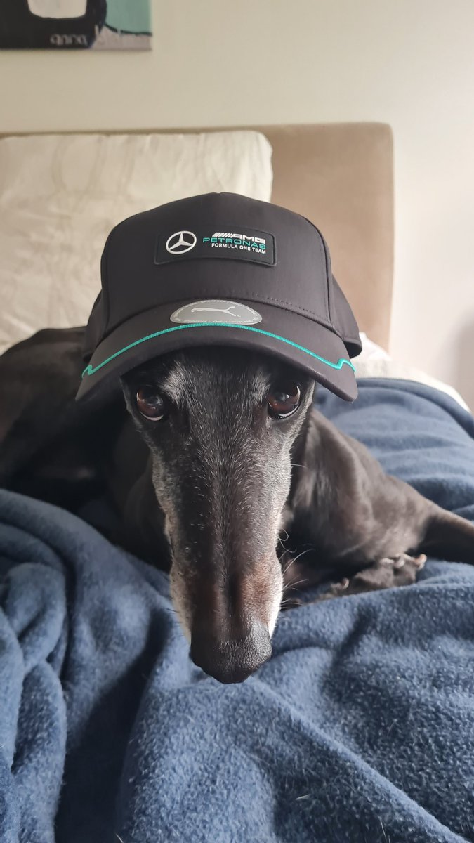 tommcfarlane29's tweet photo. @MercedesAMGF1 new friend!!!! https://t.co/b8lKEDDQ2s