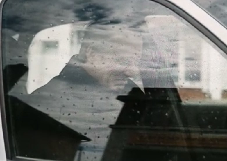 LT•HS ❯❯❯❯✨Ste 🐁✨ tweet media