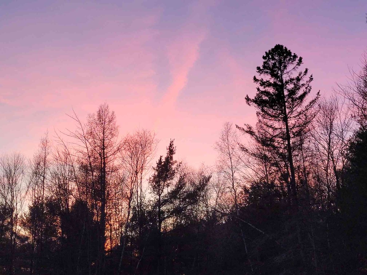 Kheiroplays's tweet photo. Sometimes the simplest things can be beautiful too.

#PurpleSkies

#NaturePhotography #amateurphoto #naturelovers #outdoors #sky #PictureOfTheDay #Quebec #Canada #fall #Autumn https://t.co/22Ppdab684