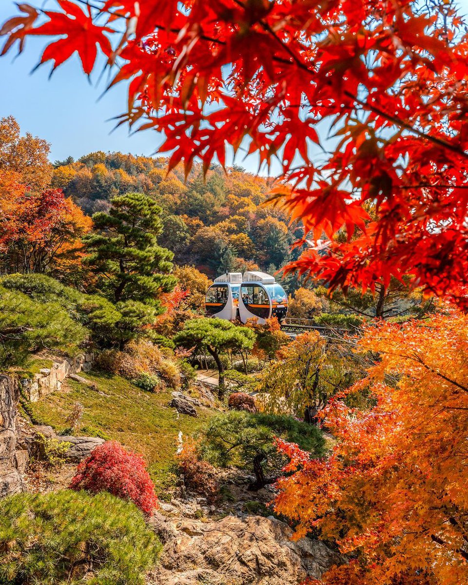 Courtne01902351's tweet photo. #nature https://t.co/9fHM4zMq8K