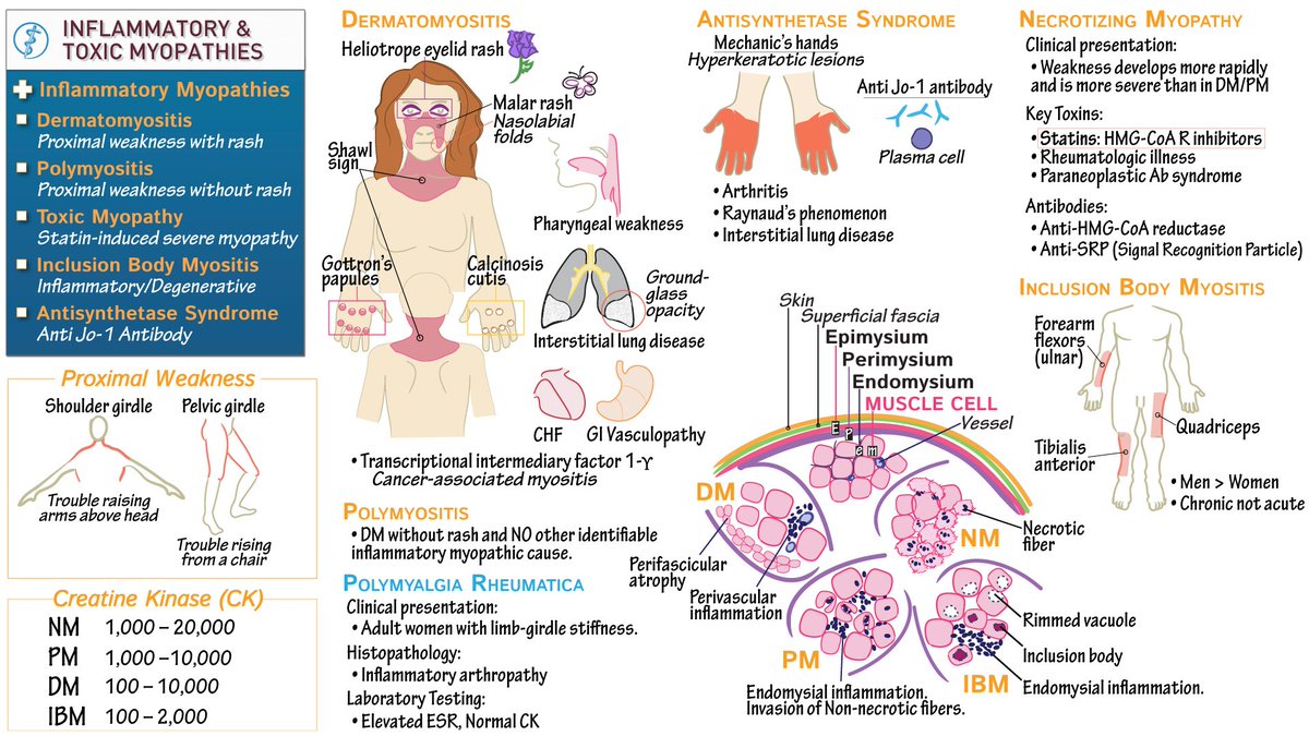 A 66-year-old woman 

👉 7-month history of pruritic rash https://t.co/0ObPNj4cJt