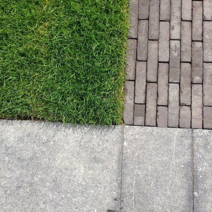 ccstraction's tweet image. ﹙i.﹚⠀  𝄒      ◍⠀⠀Ejercicios de estimulación cognitiva      ៹ ⠀⠀𓏸