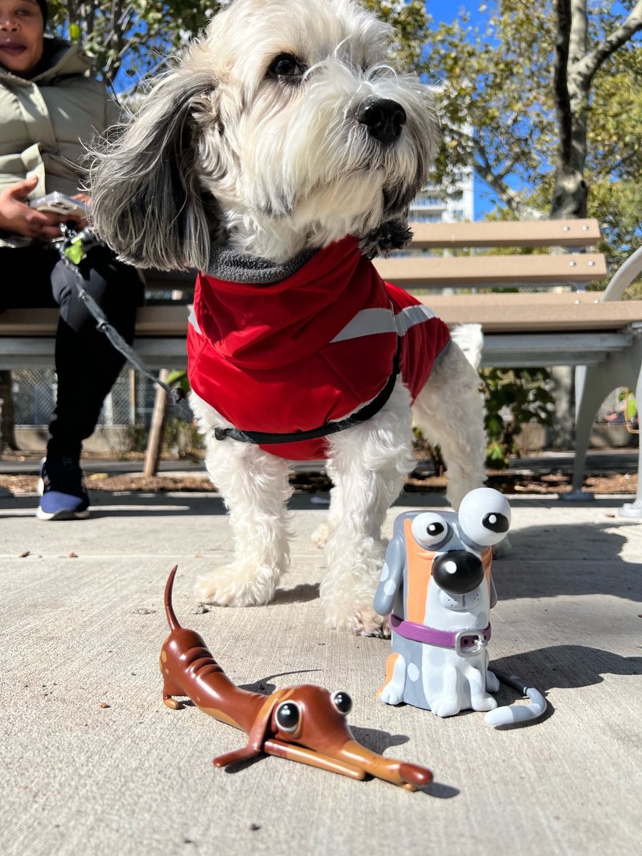 toysrevil's tweet photo. #toynews: 12hrs & $4K+ to go before the #FaultyDogs #Kickstarter ends (Sat Nov5)!
>> https://t.co/voa5WVeVgx
(Designed by @breadwig, Produced by @tenacioustoys)
Featured on #TOYSREVIL: https://t.co/dSMZdWfboy
#resintoys
#toysrevilblog https://t.co/QY20fuBs1Z