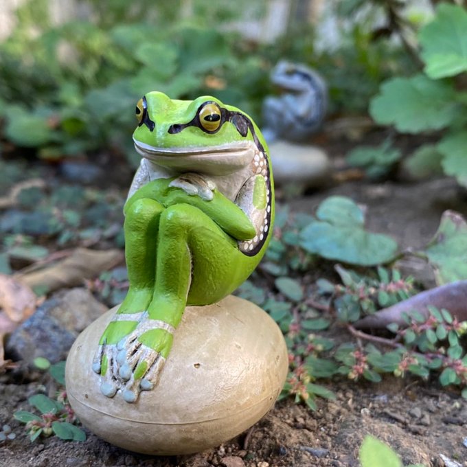 カエルの森工房の ニホンアマガエル の置物がガチャフィギュアになって登場 トーイチャンネット 時事ネタ