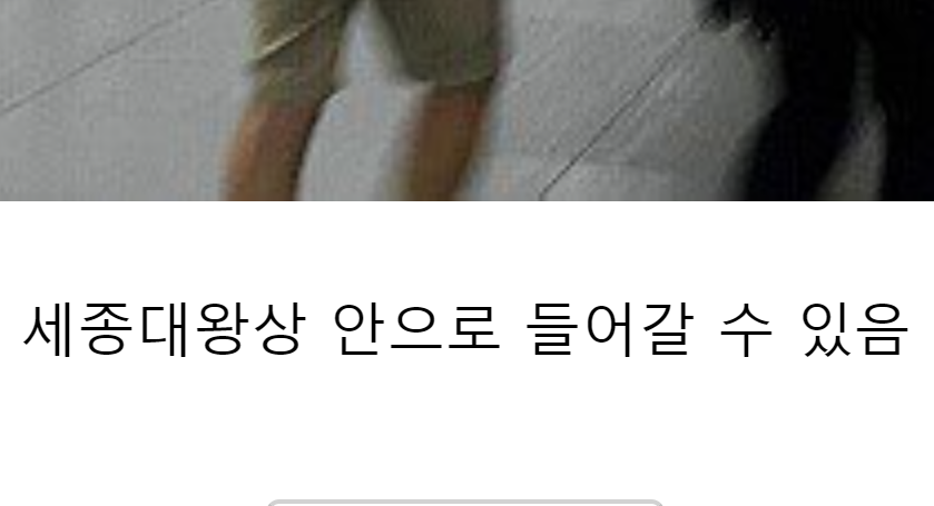 For N. 모모 tweet media