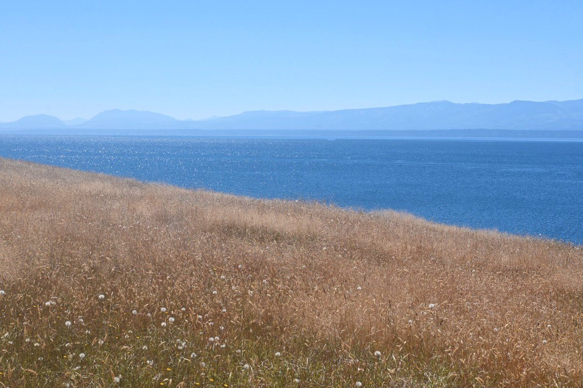 Life is Beautiful, make it last ❤️               #westcoast #beautifulbc #ocean #healthy #earth