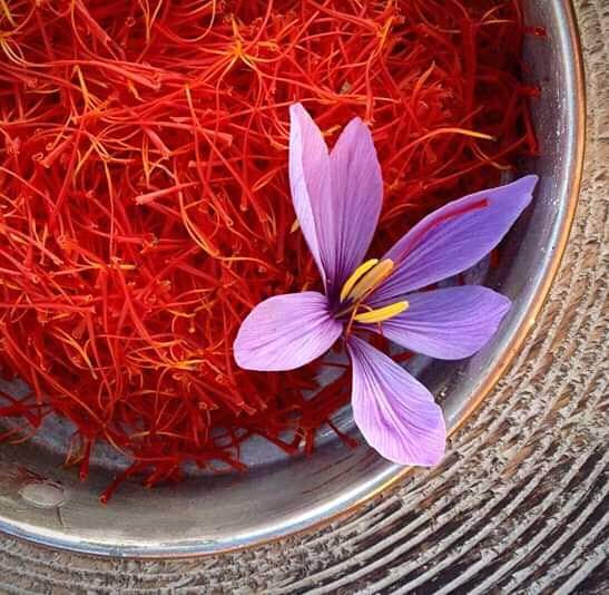 Alemarahenglish's tweet photo. The officials of the #Nangarhar Department of Agriculture say distribution of saffron seeds to farmers of #Hisarak district of the province on a trial basis, yeilded positive results and cultivation of saffron increased in the district. https://t.co/eNiGBTBPki