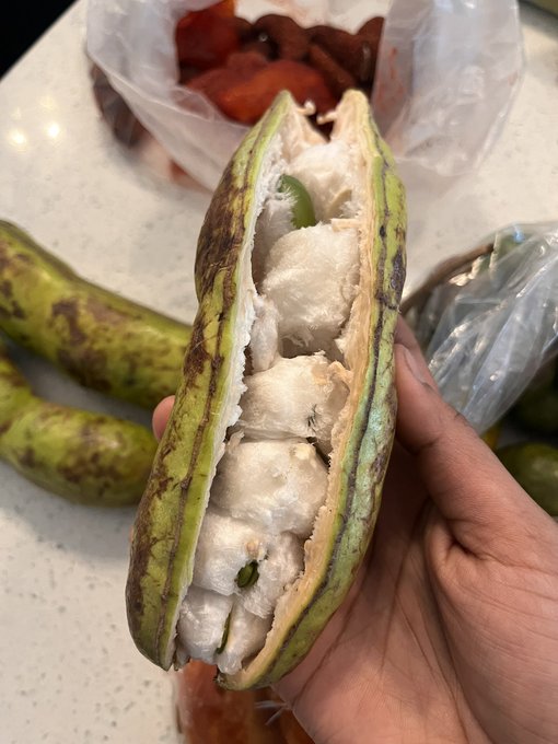 I tried the ice cream bean! https://t.co/EA9eXGjOFF