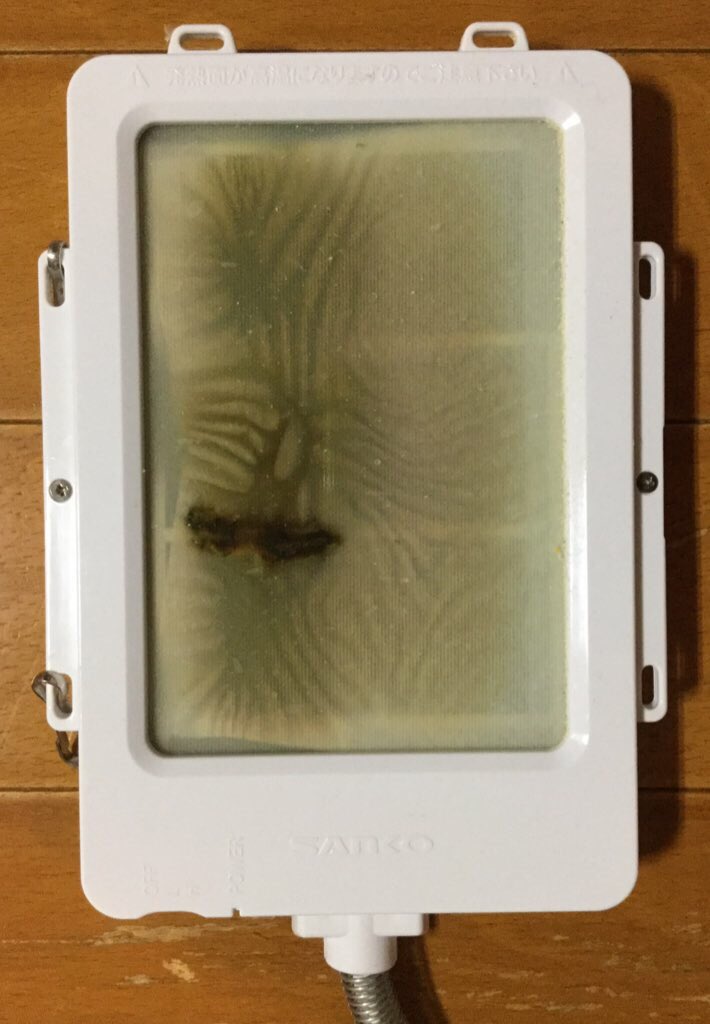 AkikusaLove tweet media