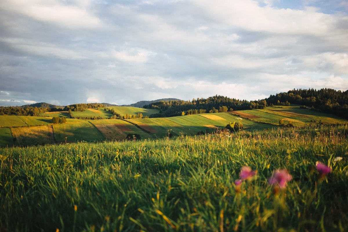 McLMark's tweet photo. Interesting lens for investment allocation... but how to change it?  Funds will flow to lower-cost markets and higher-expected-return projects, no?  Lot more money in automating cars vs. abstract carbon capture.  https://t.co/KNumZU9awP https://t.co/3N3qoHu7lh