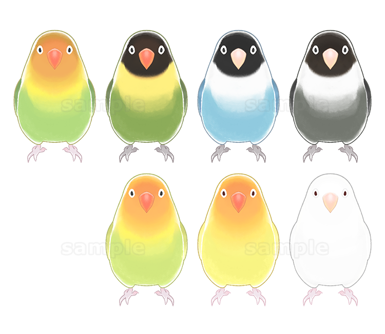 kinetsuki08's tweet photo. ★販売告知②★
また、コザクラ・ボタンインコの色を変更できるテクスチャセットも販売いたします。
6種のカラーのインコにすることができます。
コザクラ▶https://t.co/WuLJbzUdSe
ボタン▶https://t.co/xlHrO1MTbk
#Live2D #nizima https://t.co/VDVRxRcEji