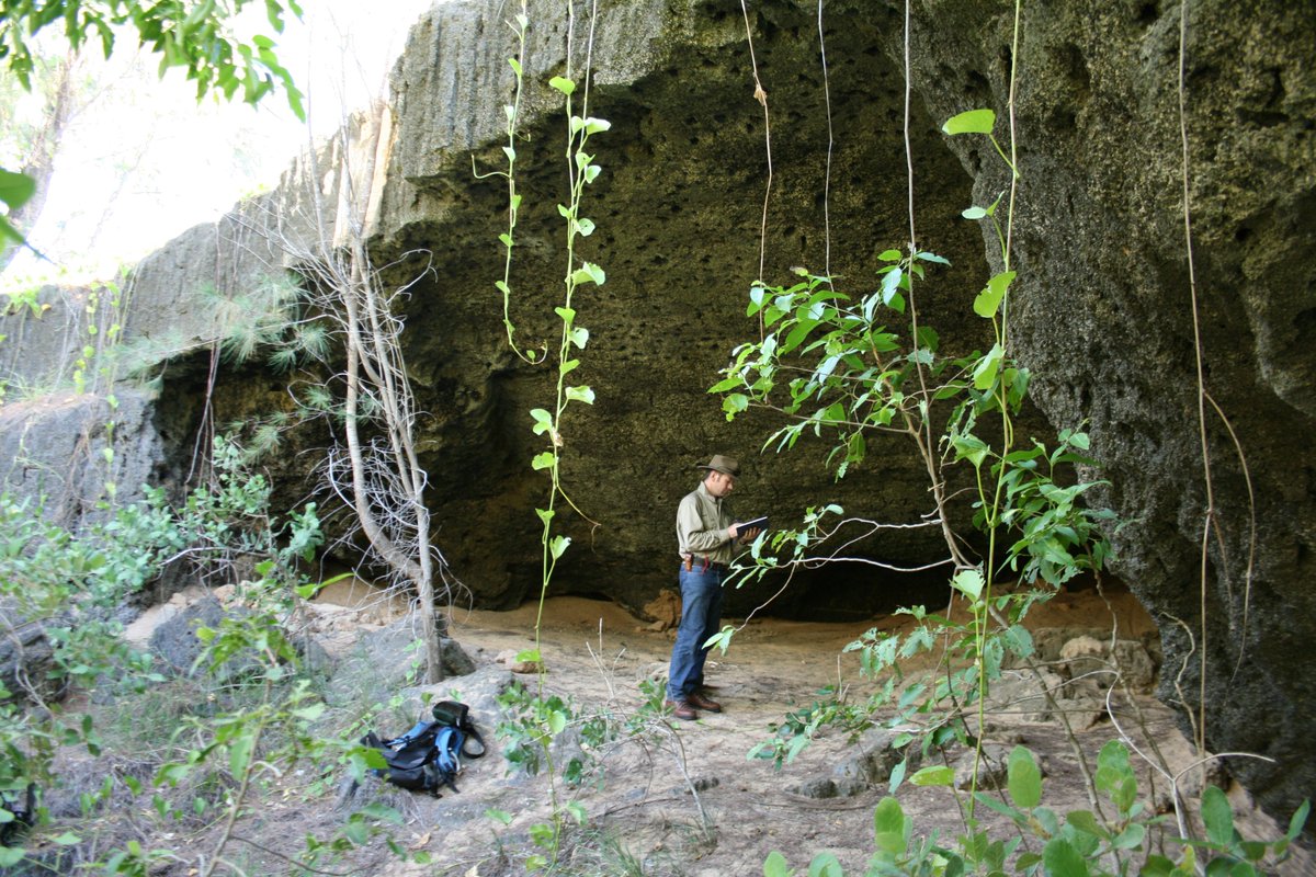 JCU will host a new ARC Centre of Excellence for Indigenous and Environmental Histories and Futures (CIEHF) – aiming to bring Indigenous and environmental histories to the forefront of land and sea management.
Full story here -&gt; bit.ly/3zLCgHM