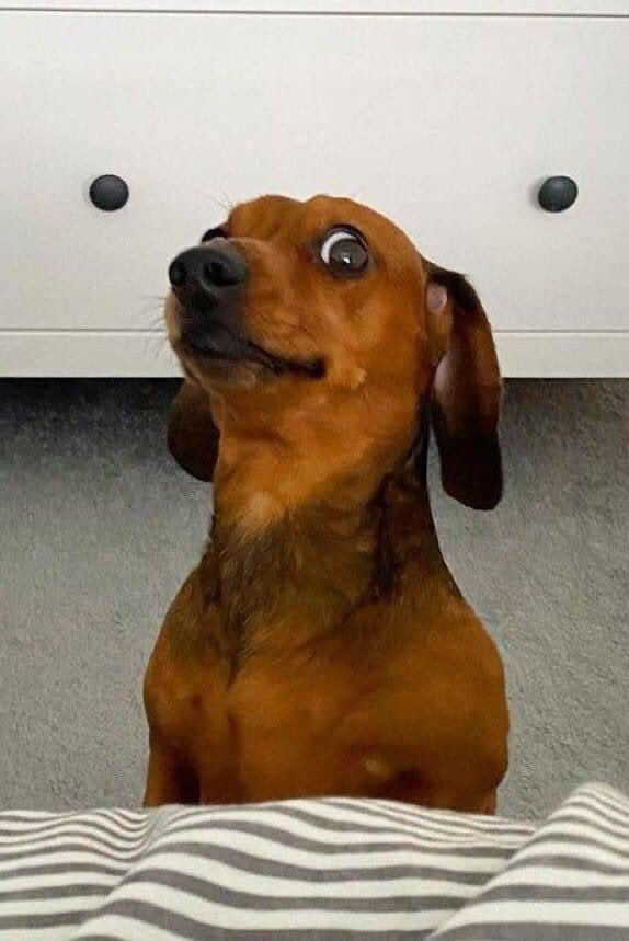 Mykmirrors's tweet photo. Your mother When you break a plate in front of a visitor https://t.co/HTfHqfKtKH