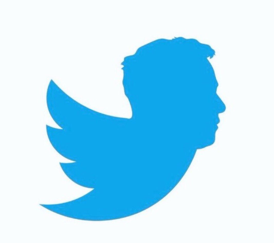 Diogene 💭 tweet media