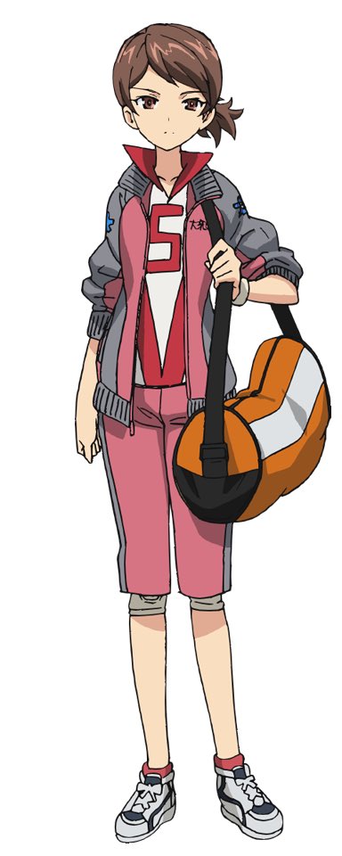 うーん…
バレー部のエナメルバッグ…若干イメージと違うなぁ…
こっちのボストンバッグの方を再現して欲しい… 