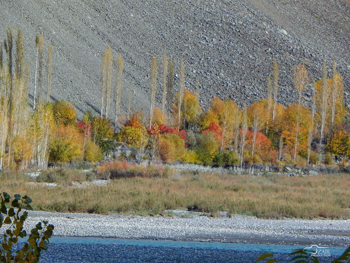 COLOUR'S of autumn
Yasinvalley
#yasinvalley #yasin #gilgit #pakistan #autumn @autumn