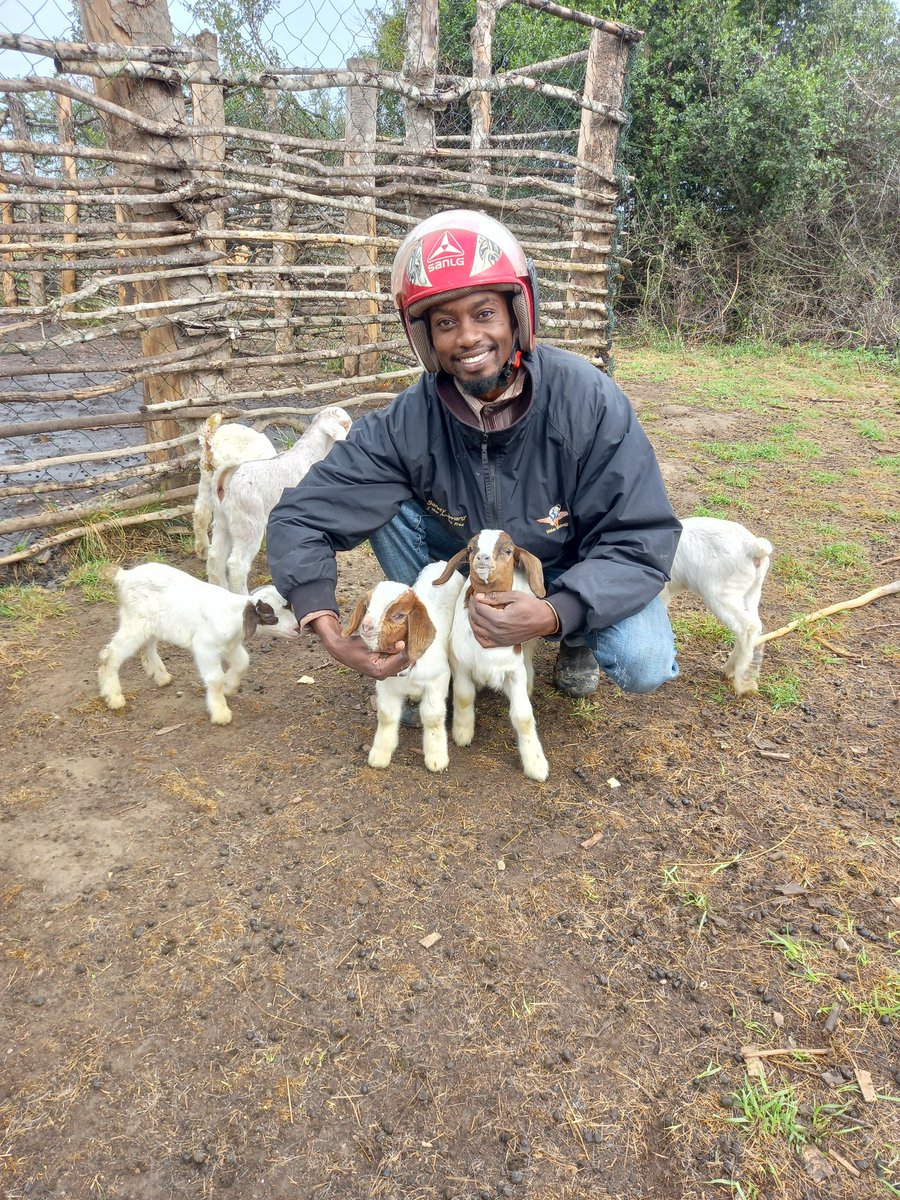 SkvFarm's tweet image. The love of our animals