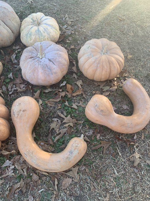 FREE TRIAL LINK IN MY BIO! #fall #holidaysale #pinkhair #OnePieceFilmRed https://t.co/OLXQbYrHiv<a href="/tag/fall"class="tags">#fall</a><a href="/tag/holidaysale"class="tags">#holidaysale</a><a href="/tag/pinkhair"class="tags"><span>#pinkhair</span></a><a href="/tag/onepiecefilmred"class="tags"><span>#onepiecefilmred</span></a>