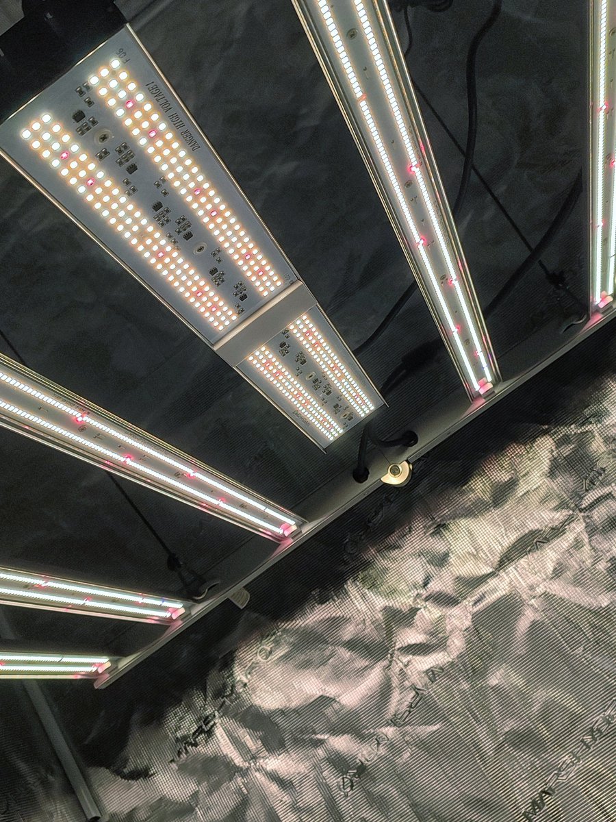 desdelasemilla's tweet photo. #sp150 #mas #fc4800 #led #marshydroblackfriday #marshydro #autoconsumo #autocultivo #INDOOR2022 @MarsHydroLight @eleenwen https://t.co/6rvqcBLacA