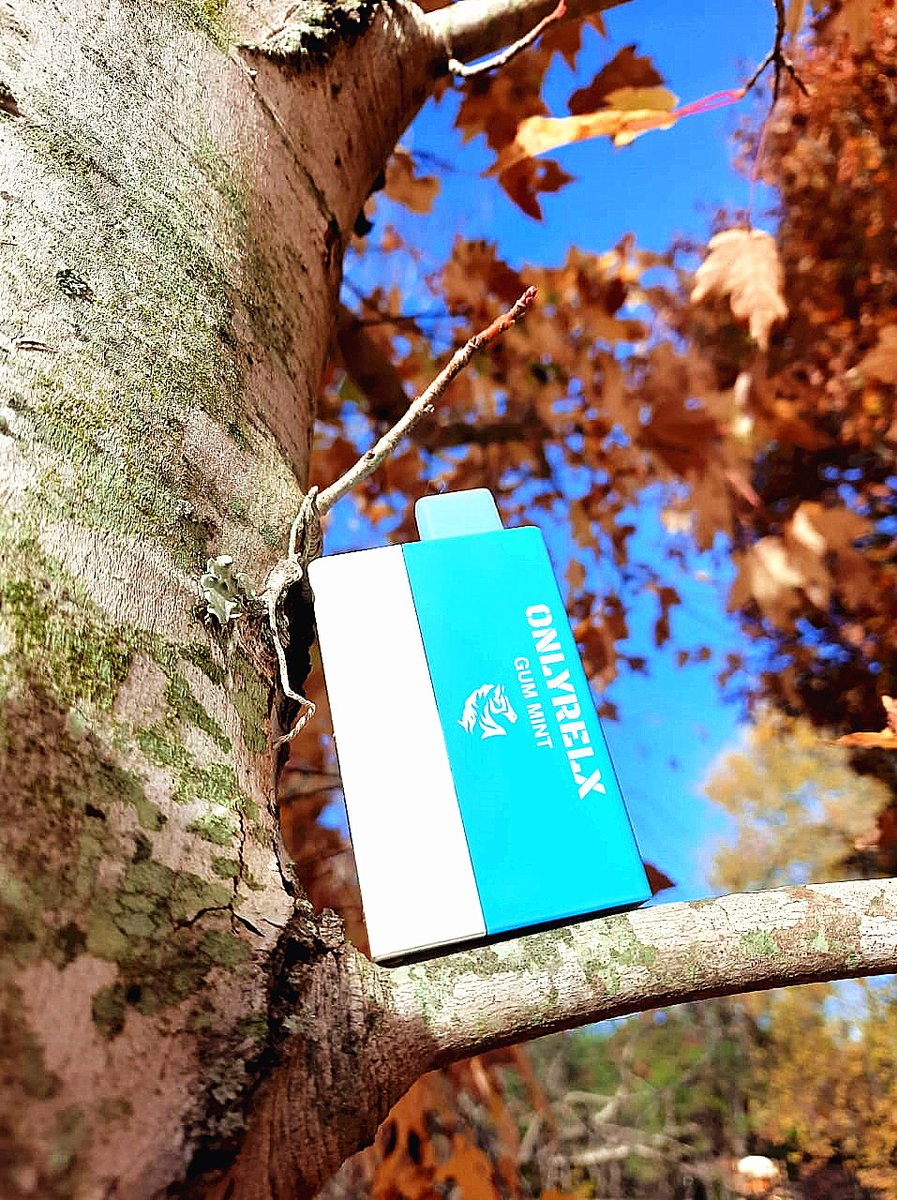 OnlyRelx's tweet image. 