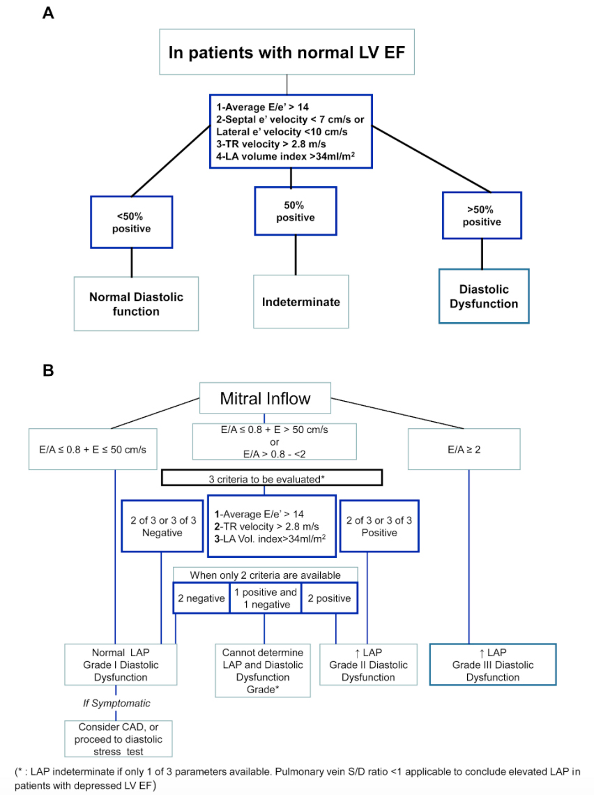 RCMjournal's tweet photo. #RCM - Vol. 22 No. 3
#Callforread
🌞Review - Role of transthoracic echocardiogram in acute heart failure
#Transthoracic #echocardiogram #AHF #TTE #heartfailure
Full text:
https://t.co/DkJxaw7j3d https://t.co/SzbSwFskL4