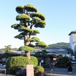 ツイートに含まれる画像