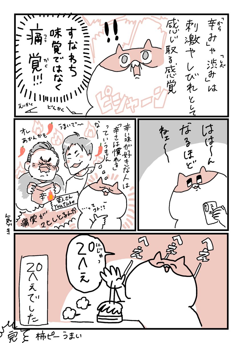辛い味は「味覚」で感じてるんじゃない!!って柿の種のパケ裏に書いてあった 