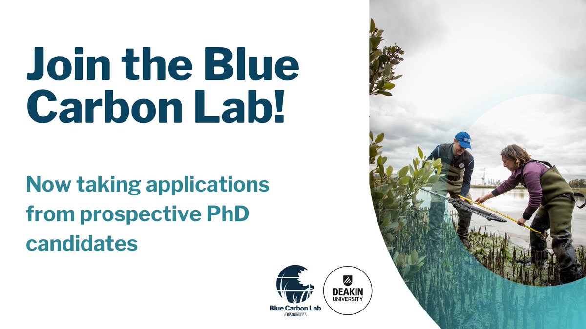 We're looking forward to growing our team. We have a Peter Lemon PhD scholarship open and we're looking for a competitive candidate with an interest in #bluecarbon, social science, #restoration, natural climate solutions or similar topics.
Find out more: bit.ly/3NCwi1G