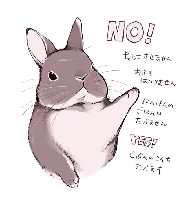 #うさぎ 